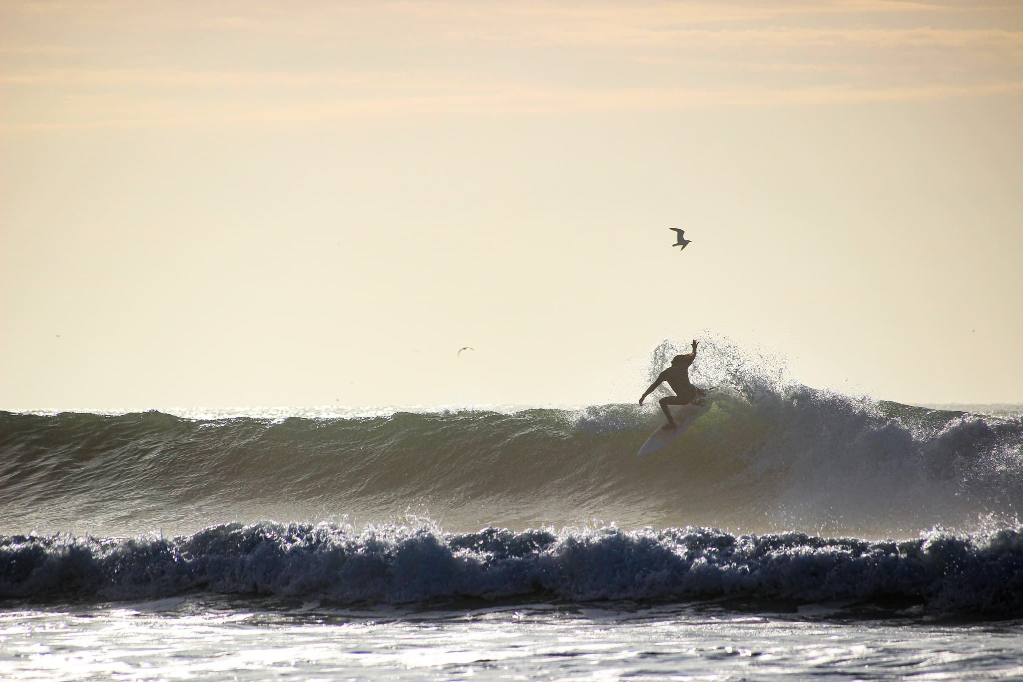 Surf lessons Essaouira Morocco - Atlantic waves